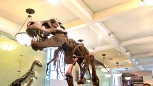 Sala de dinosaurios en el Museo Americano de Historia Natural de Nueva York