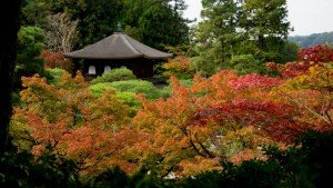 Ginkaku-ji o Pabellón de Plata durante el otoño, fiestas de Kioto