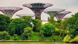 Jardines de la Bahía, una de las principales atracciones de Singapur
