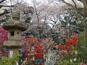 Jardines a la entrada del Santuario Yasukuni