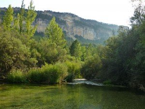 Río Tajo, el protagonista indiscutible del Parque Natural del Alto Tajo