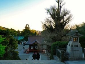 Vistas desde el Santuario Tsurugaoka Hachimangu de Kamakura