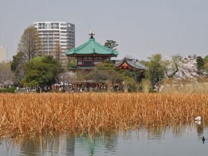 Templo Betendo en medio del estanque de Shinobazu del Parque Ueno