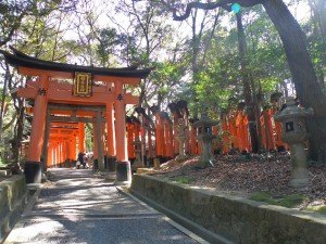 Torii cubriendo la montaña del santuario Fushimi Inari Taisha