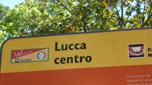Medios de transporte disponibles para llegar a Lucca