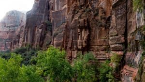 Roca que llora (Weeping Rock) en el Parque Nacional Zion