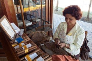 Elaboración tradicional de los puros habanos, el souvenir más solicitado de Cuba, qué comprar en Cuba