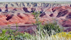 Painted Desert, incluido dentro del Parque Nacional del Bosque Petrificado