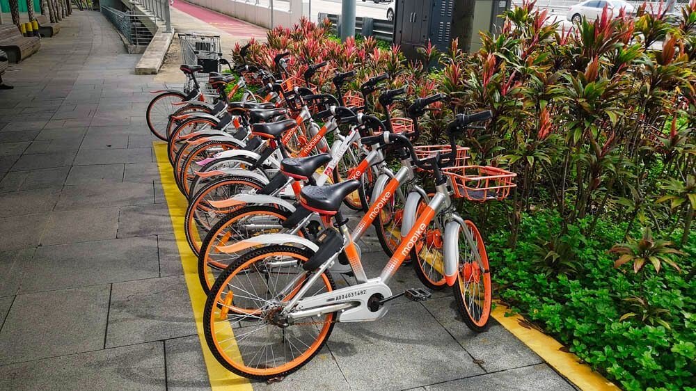 Alquiler de bicicletas, una forma sana y ecológica de moverse por Singapur