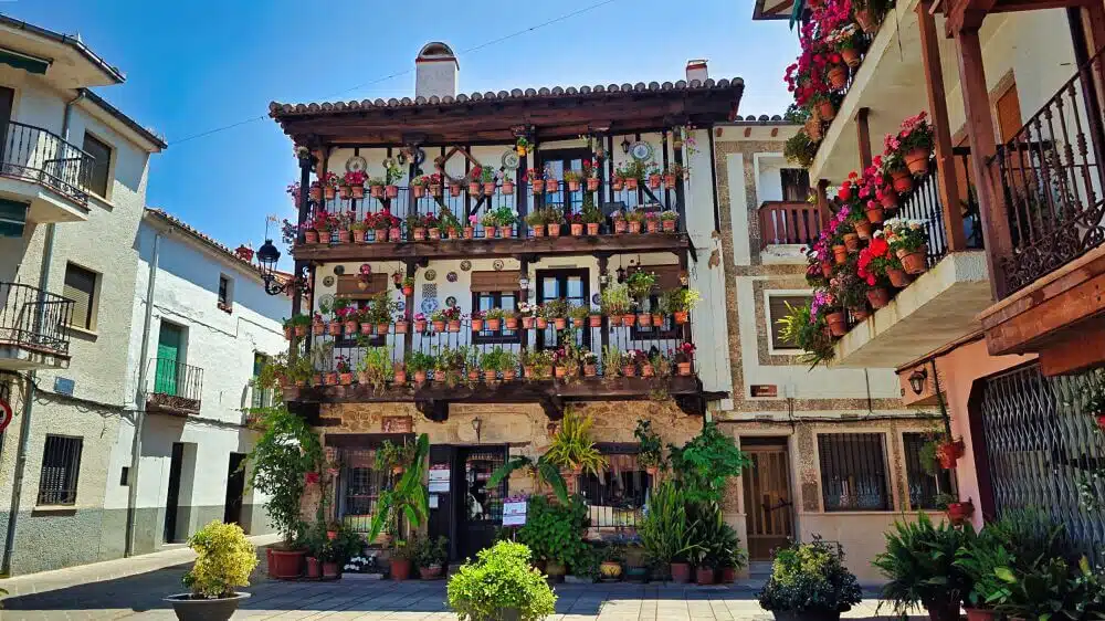 Flores Casa Candeleda
