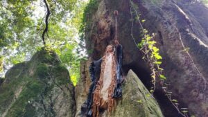 Parque Mitológico Mina Pepita