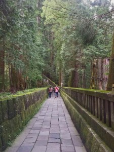 Sendero al Santuario Futarasan en Nikko