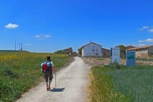 Cinco curiosidades que quizá no conocías sobre el Camino de Santiago